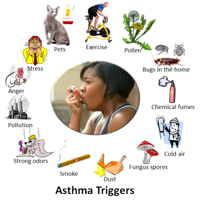 Asthma_triggers_2